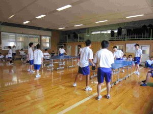 pingpong1