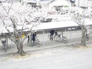 続々と登校してきています。