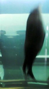 2013022212310000[1]