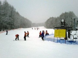 DSC_0084[1]