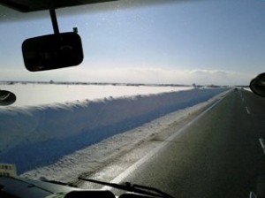 DSC_0087[1]