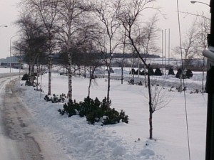 IMG_20140128_122905