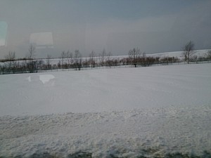 IMG_20140128_122950