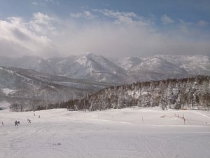 IMG_20140129_112801