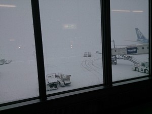 IMG_20140131_160246