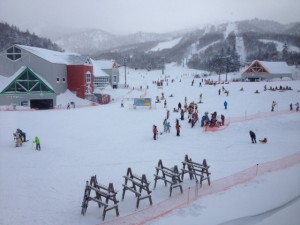 image (2)