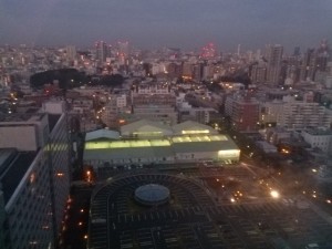 IMG_20140201_061951