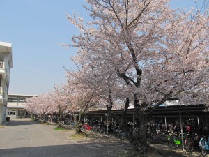IMG_5906