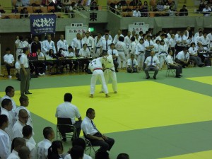 DSCN8855