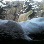 2013022212210000[1]