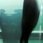2013022212310000[1]